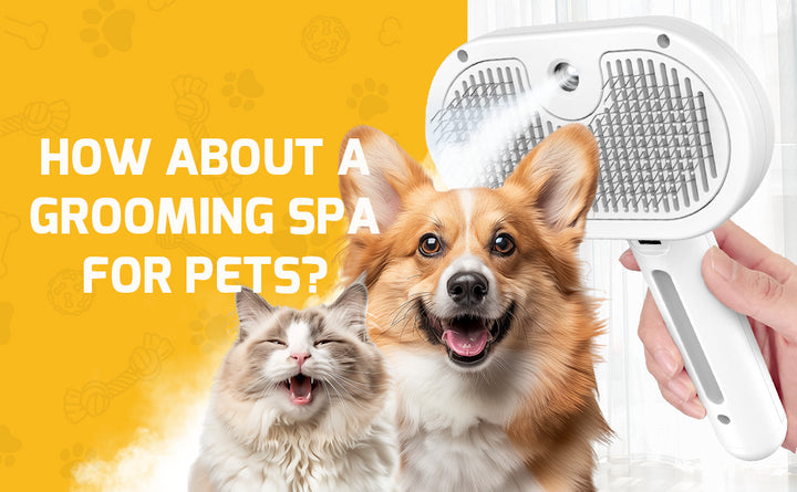 Pet Spray Grooming Comb – De-Shedding & Styling Tool for Dogs & Cats